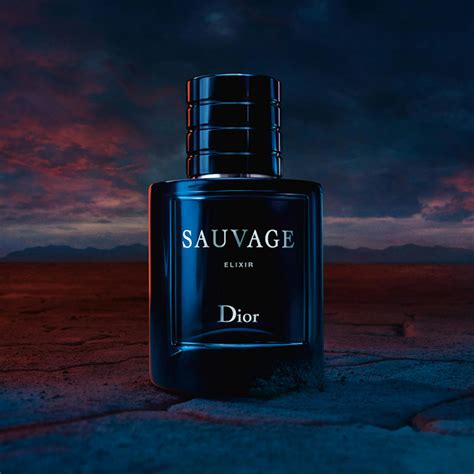 christian dior elixir sauvage|sauvage elixir 100ml price.